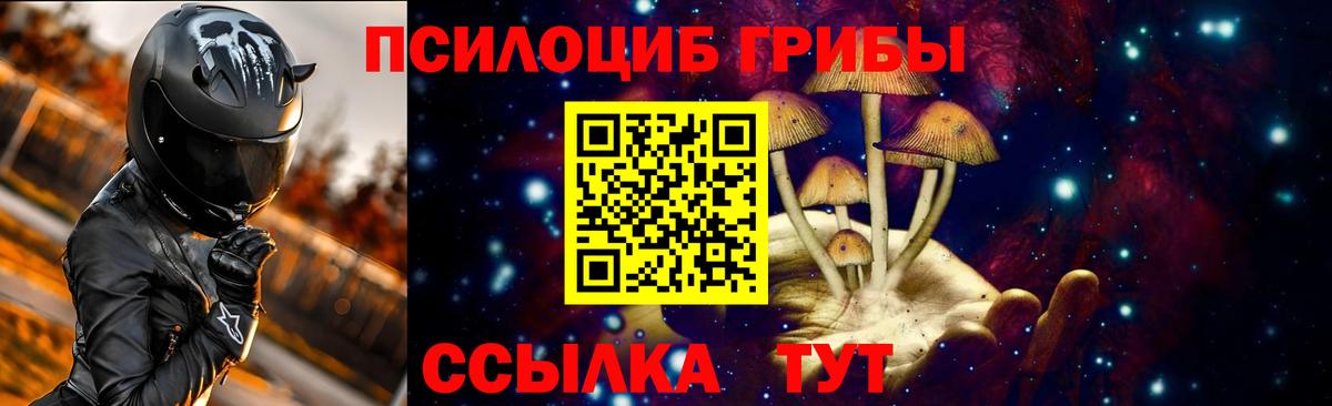 Псилоцибиновые грибы мицелий  Вход с VPN  Уссурийск 